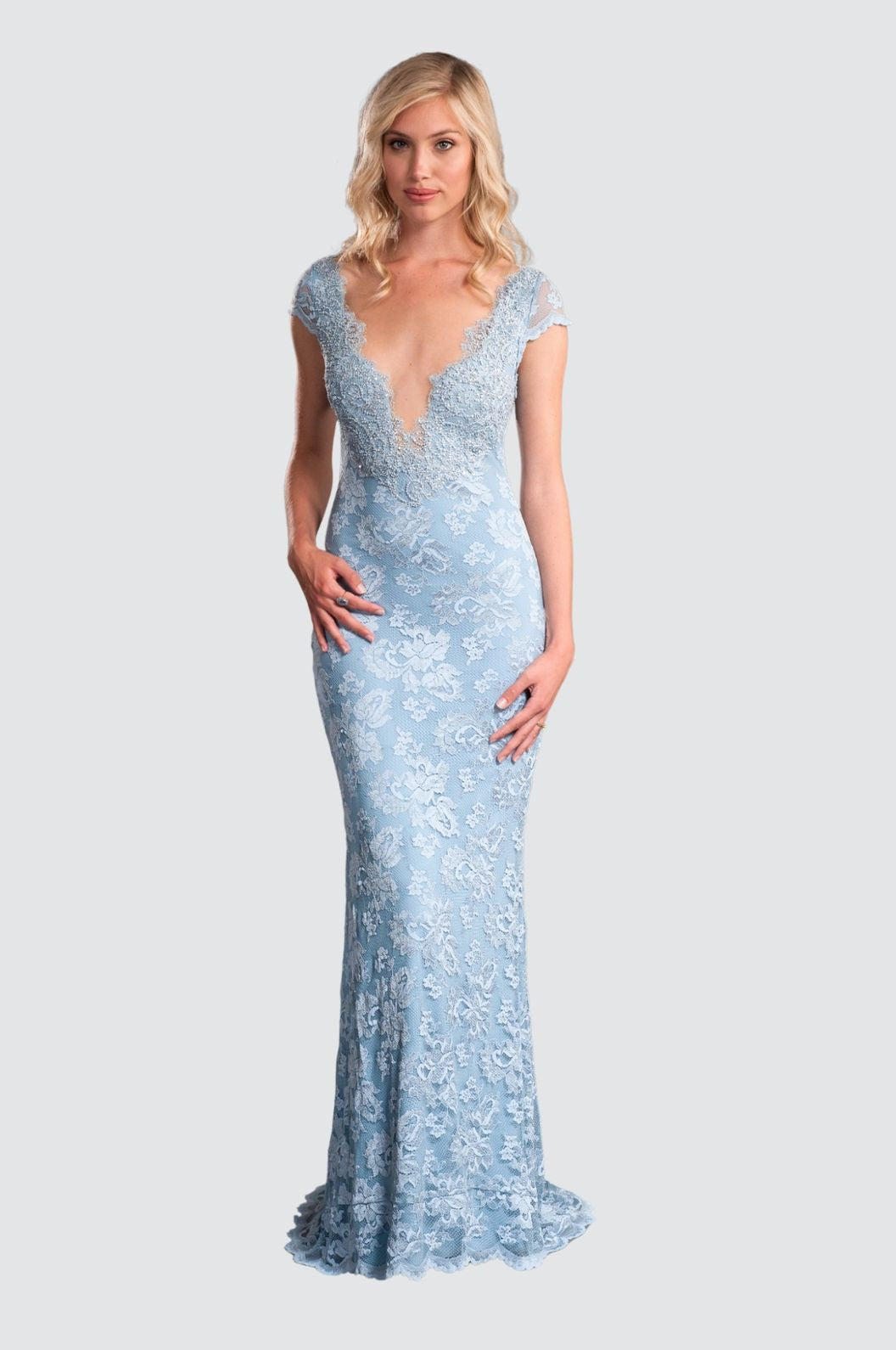 Elegant Lace Gown with Deep V-Neckline Elegant Lace Gown with Deep V-Neckline
