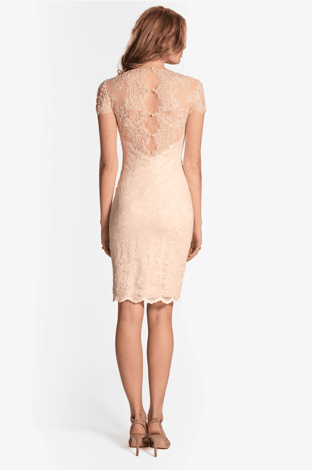 Elegant Lace Cocktail Dress in Soft Apricot-1