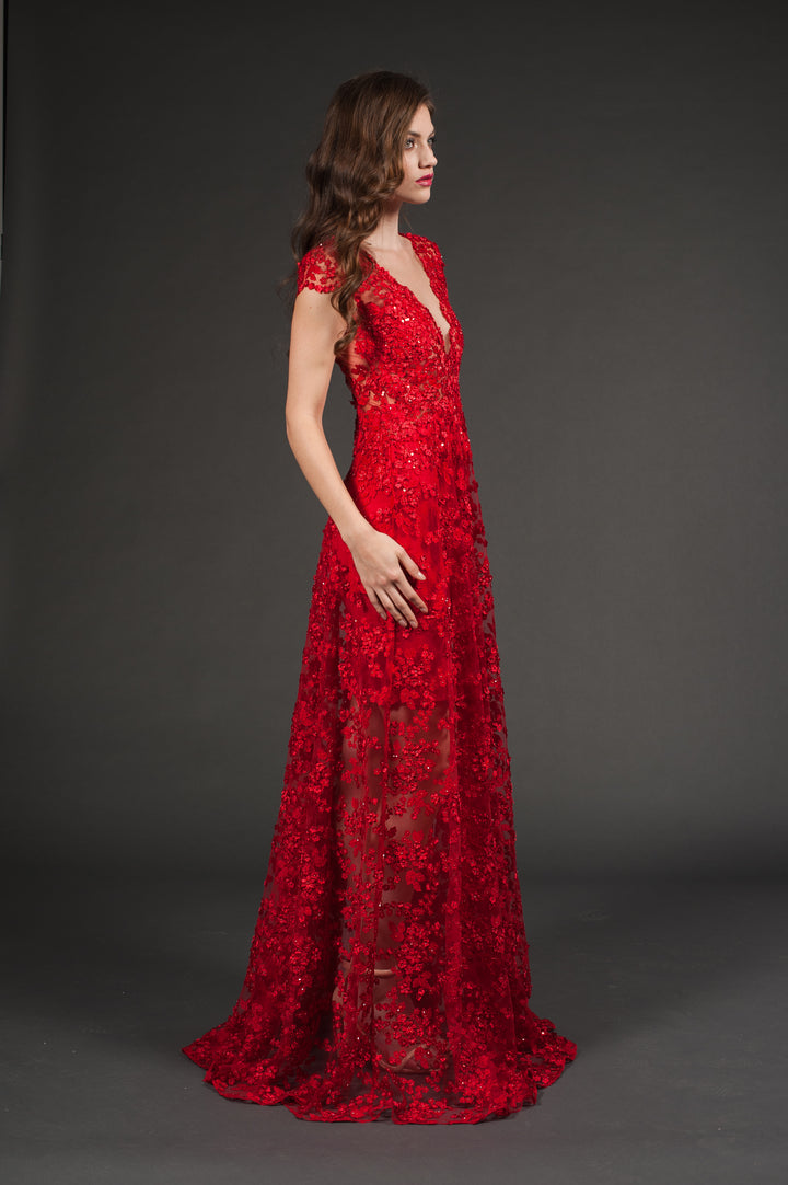 Deep V-Neckline Red Gown-2
