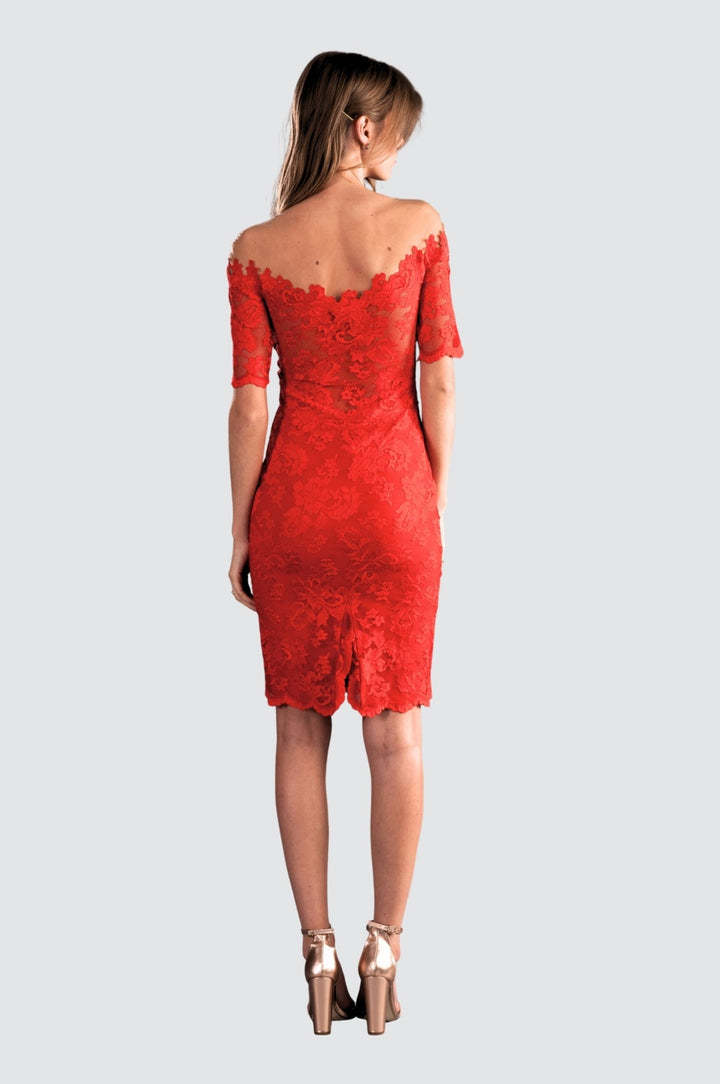 Off-Shoulder Lace Dress with Illusion Tulle
