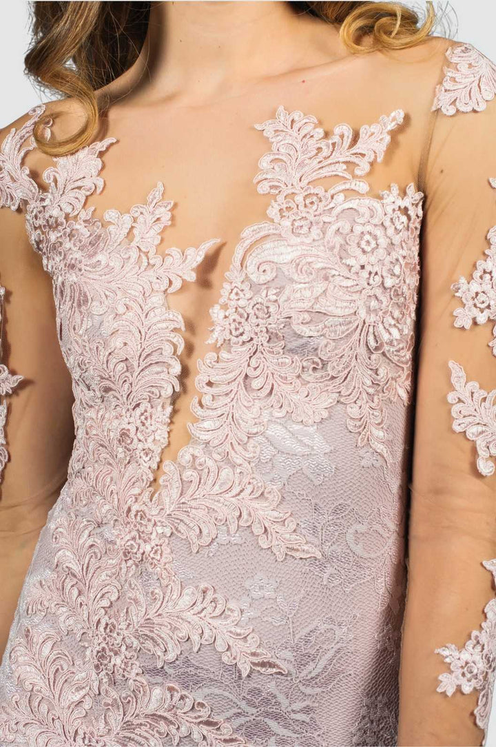 Lace Mermaid Gown