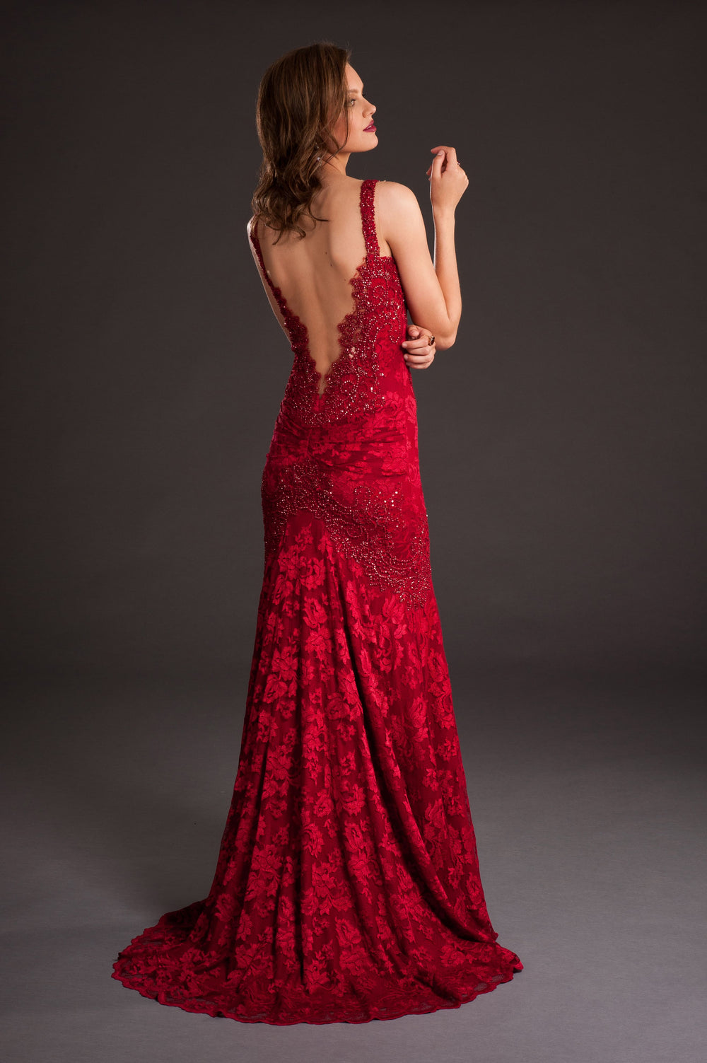 Elegant Lace Embellished Gown-1