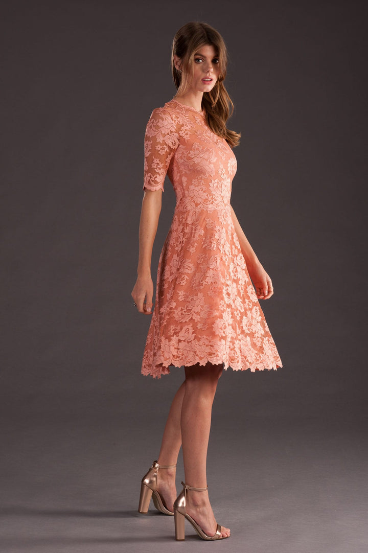 Half Sleeves Lace Dress-3