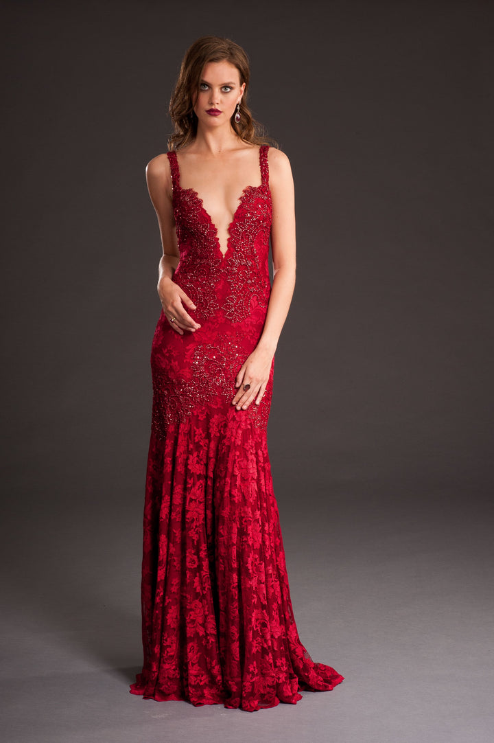 Elegant Lace Embellished Gown-0