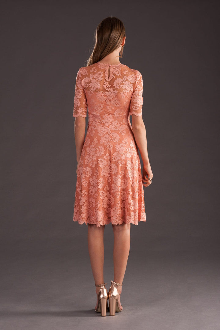 Half Sleeves Lace Dress-1