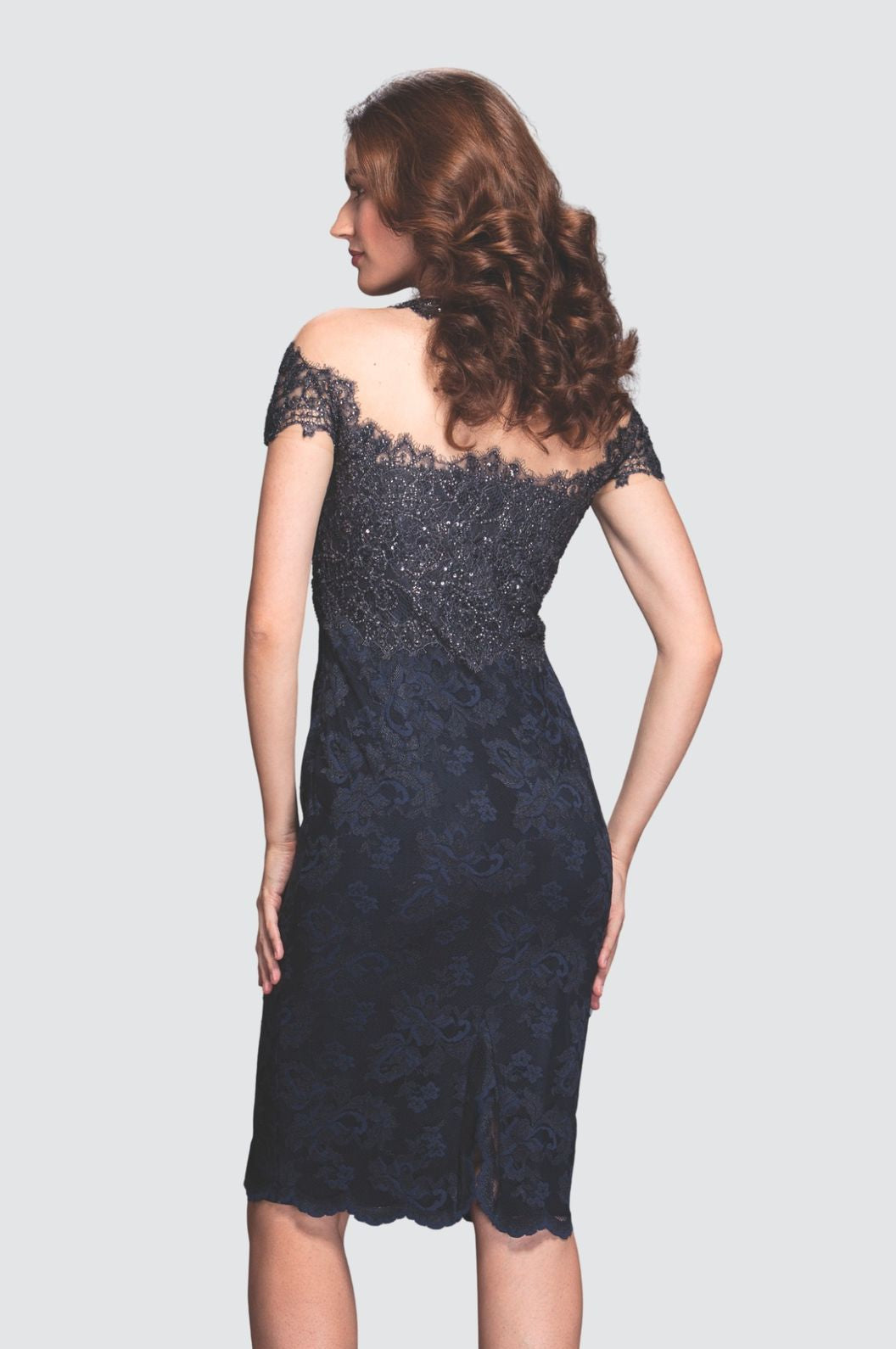 Fit-and-Flare Lace Midi Dress