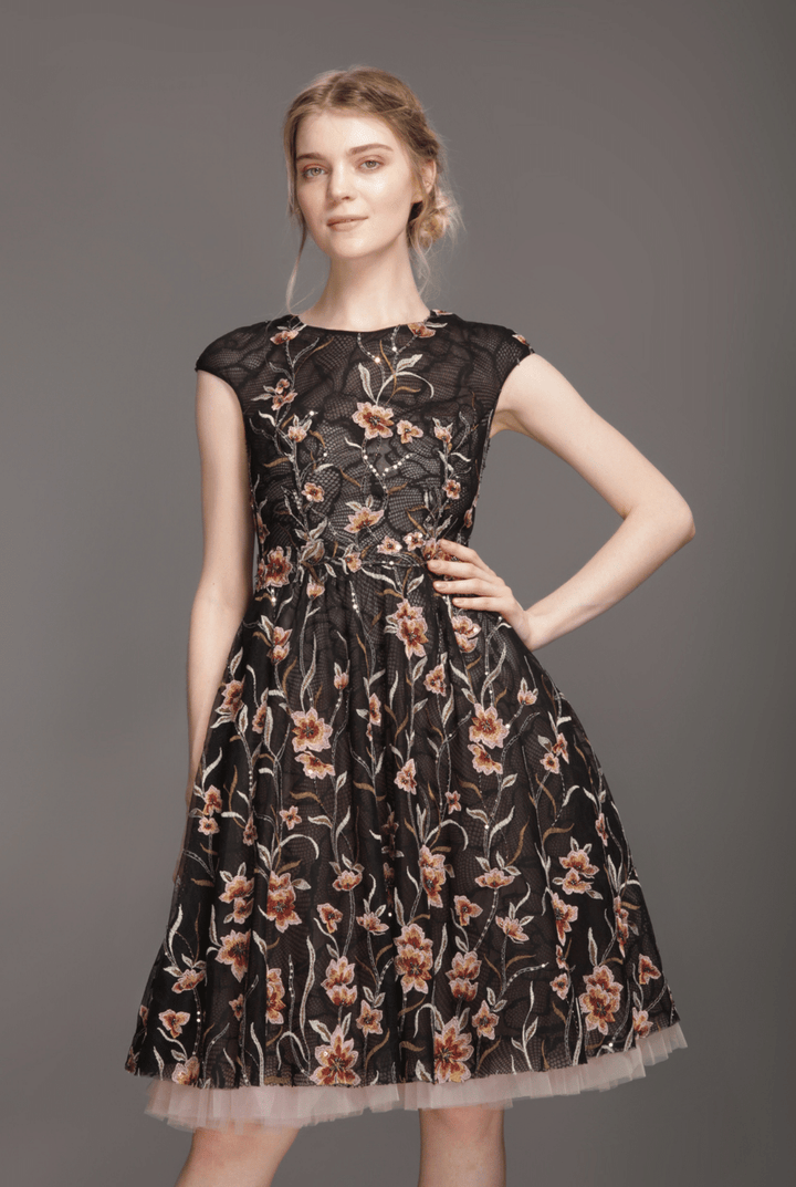 Black mesh tutu flare dress-0