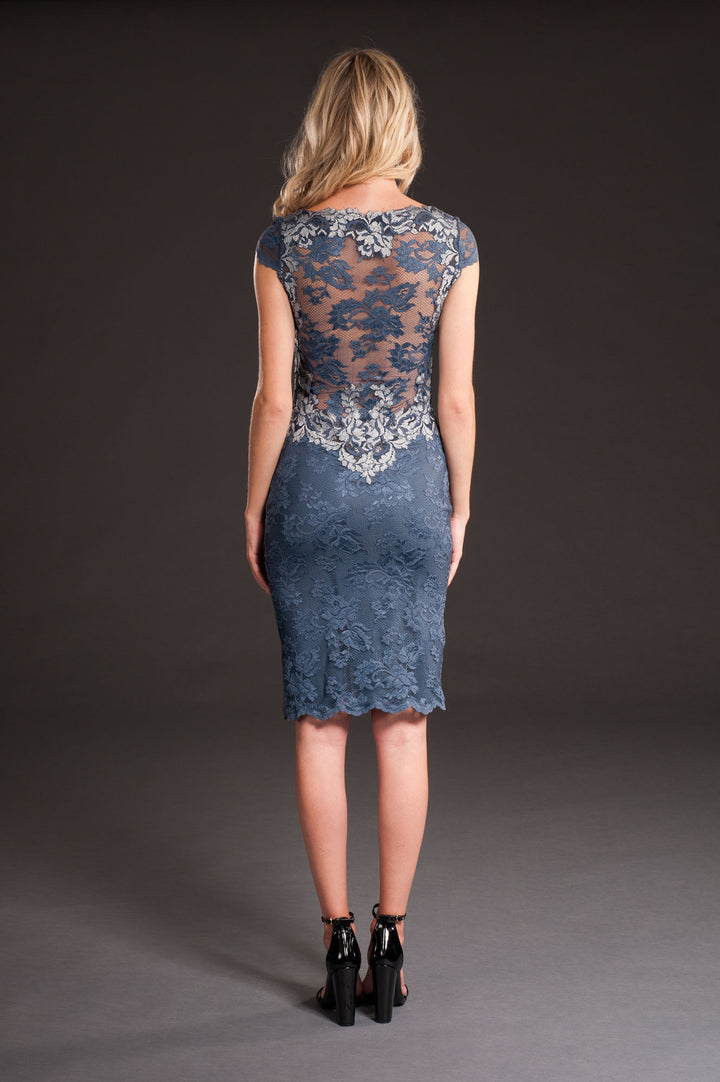 Elegant Lace Dress-1