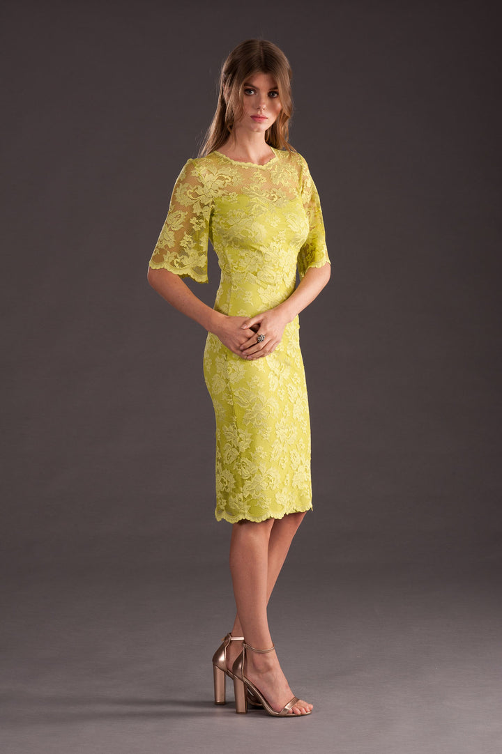 Classic Cocktail LaceDress-3
